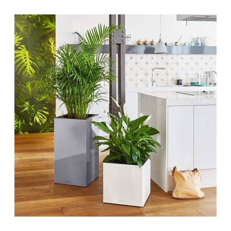 Lechuza - Pot De Fleur Lechuza Canto Premium Colonne 40 - Kit Complet, Argent Métallique - Image 3