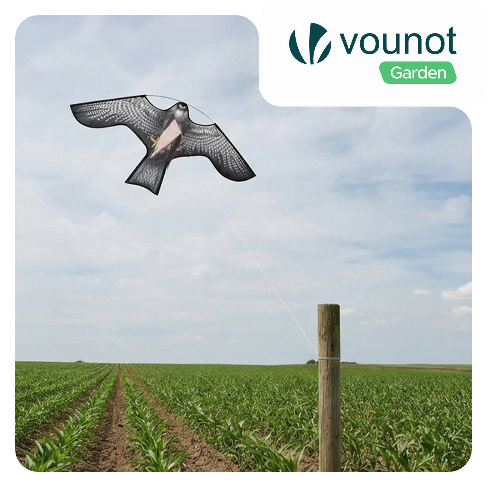Cerf volant anti oiseaux effaroucheur sans mat Faucon modele C - Image 2