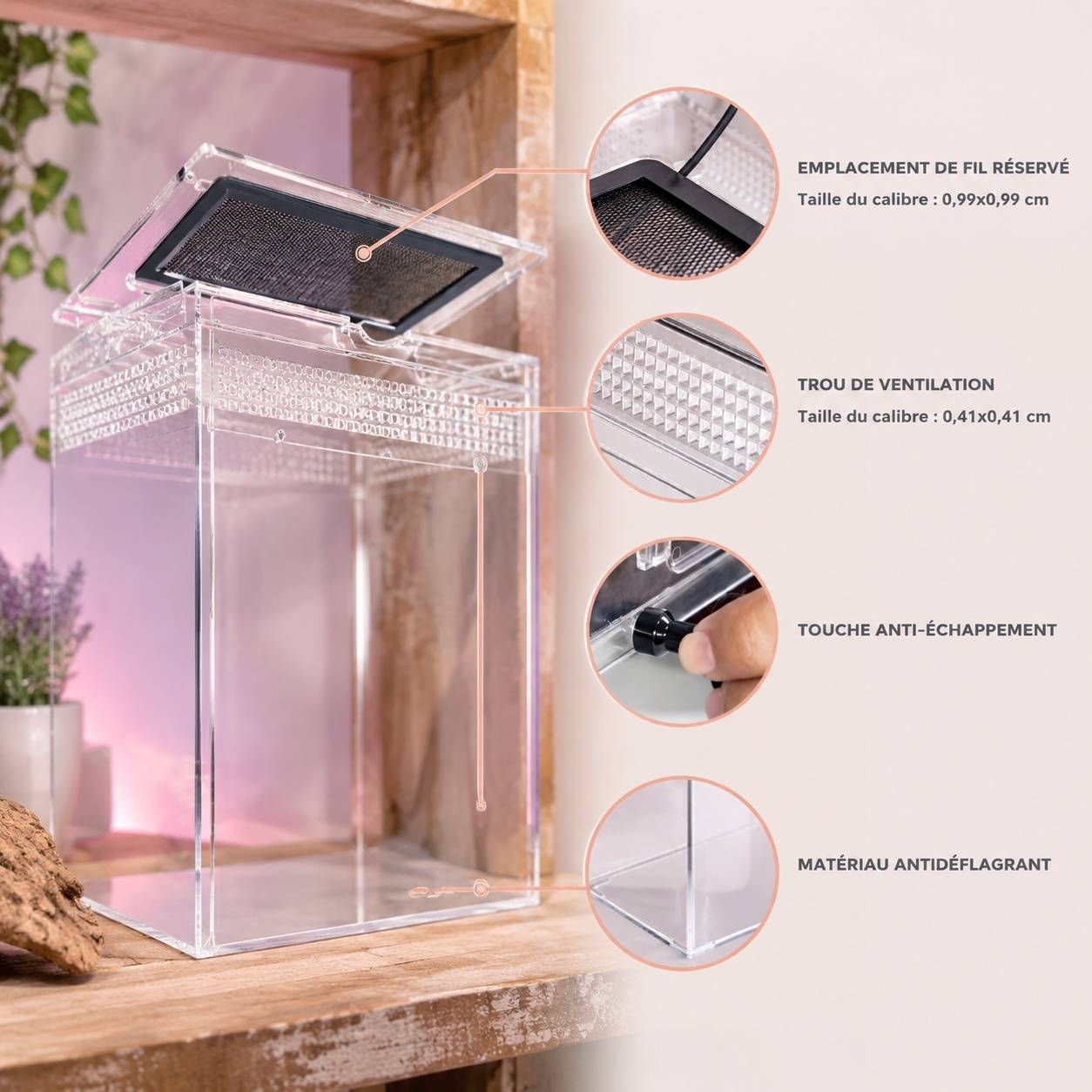 Kit Terrarium Haut pour Reptiles Amphibiens Invertebrés Ventilation Écran Métal Anti-Chute - Image 4