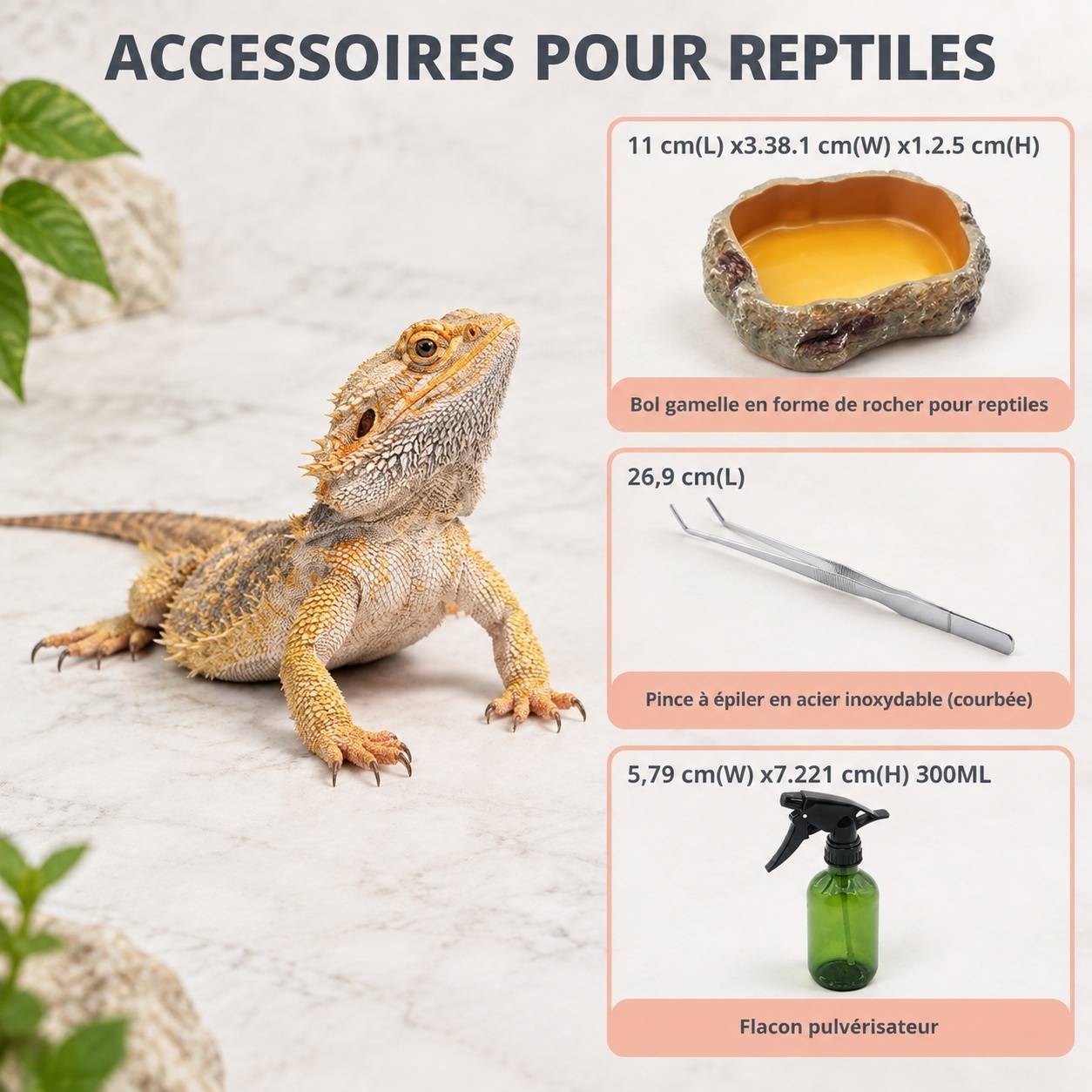 Kit Terrarium Haut pour Reptiles Amphibiens Invertebrés Ventilation Écran Métal Anti-Chute - Image 5