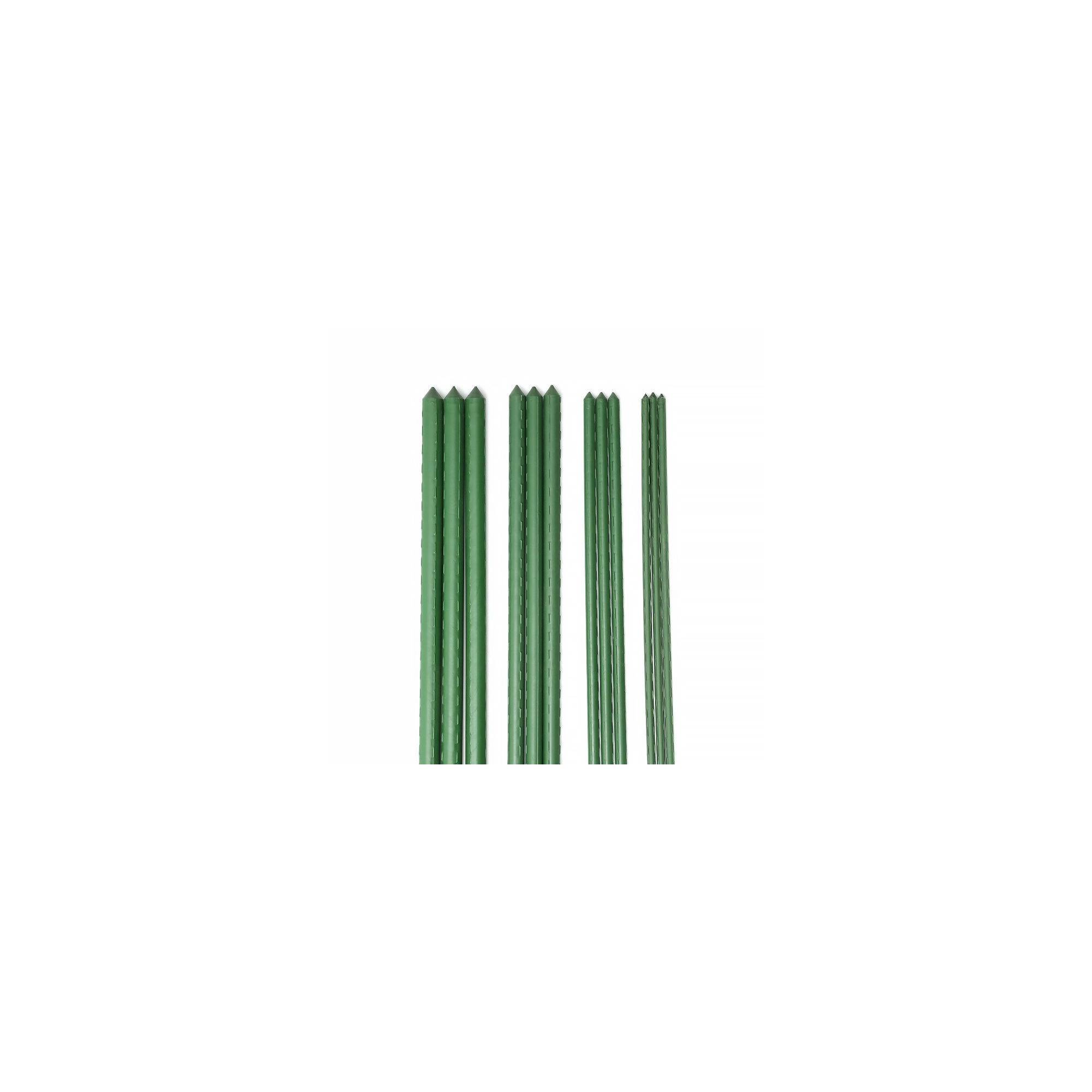 Sans Marque - Lot de 10 tuteurs pour plantes et légumes - En fer - Hauteur : 180 cm - Image 2