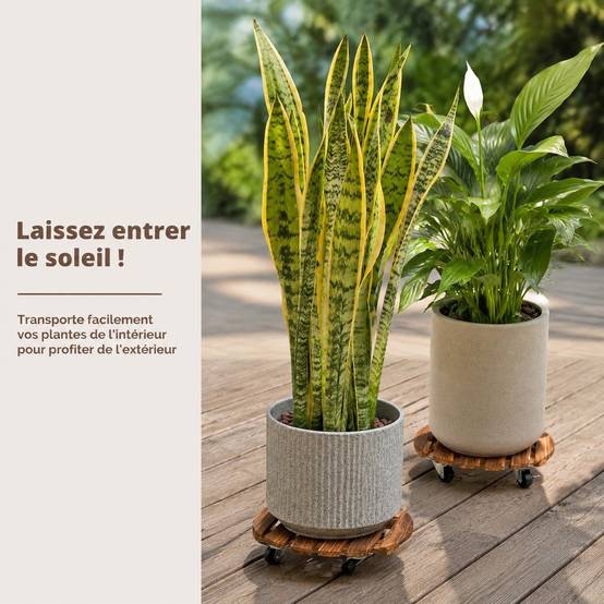 Pack de 4 Supports à Plantes 12 Pouces Roues Lockables Intérieur Extérieur - Image 2