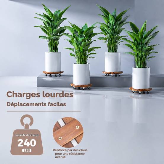 Pack de 4 Supports à Plantes 12 Pouces Roues Lockables Intérieur Extérieur - Image 6
