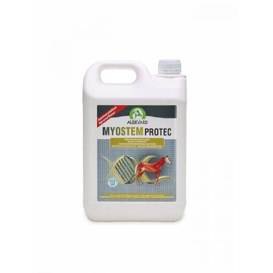 MYOSTEM PROTEC - AUDEVARD 900 - Image 2