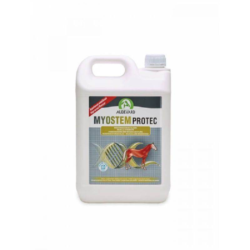 MYOSTEM PROTEC - AUDEVARD 900 - Image 2