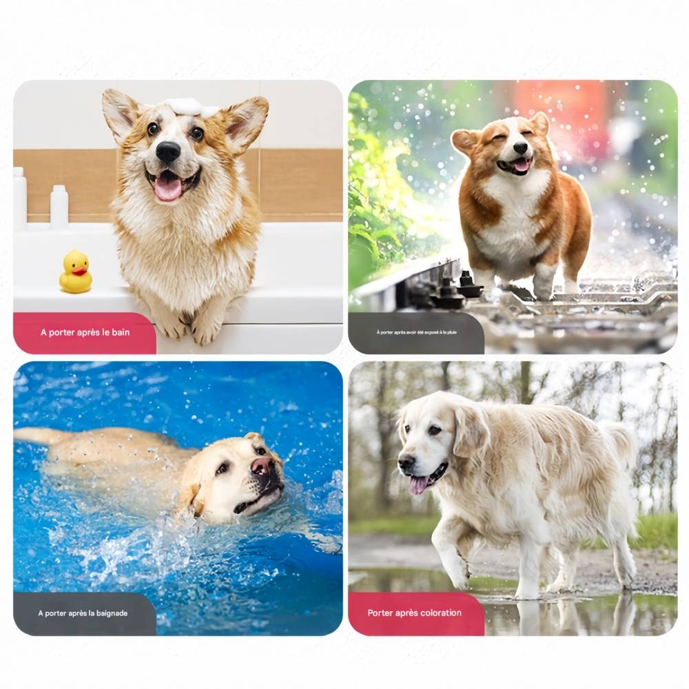 IntiMeg - Robe de bain pour grand chien 2XL IntiMeg - Image 3