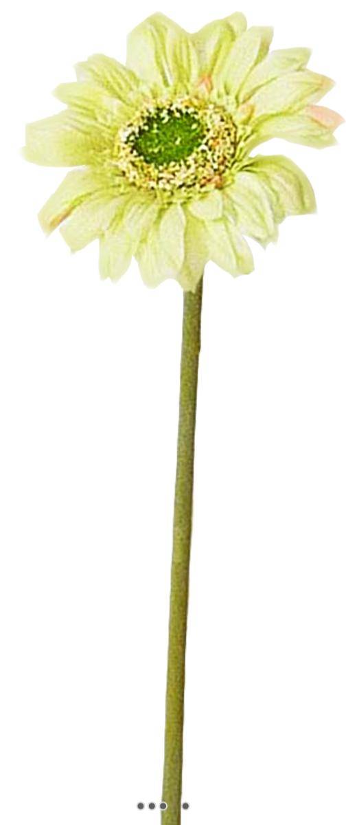 Gerbera artificiel H 48 cm D 8 cm superbe Crème vert - couleur: Crème vert - Image 1