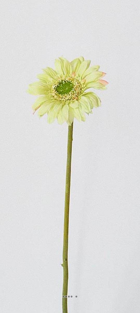 Gerbera artificiel H 48 cm D 8 cm superbe Crème vert - couleur: Crème vert - Image 2