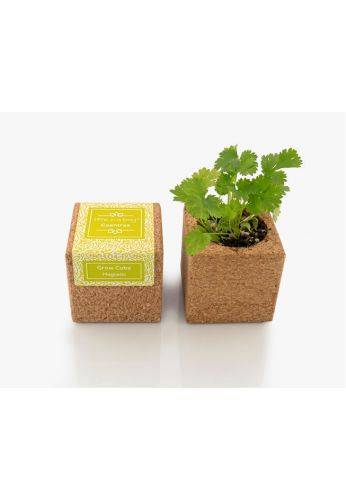 Life In A Bag - Life in a Bag - Grow Cube aimanté Coriandre - Image 1
