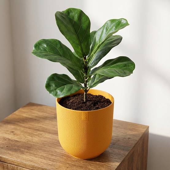 Pot de fleurs elho Jazz rond jaune - D.23cm x H.21cm - Image 4