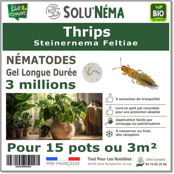 Solunéma - Thrips - Traitement à base de nématodes Steinernema Feltiae (SF) - 3 millions pour traiter jusqu'à 3 m² - Image 1