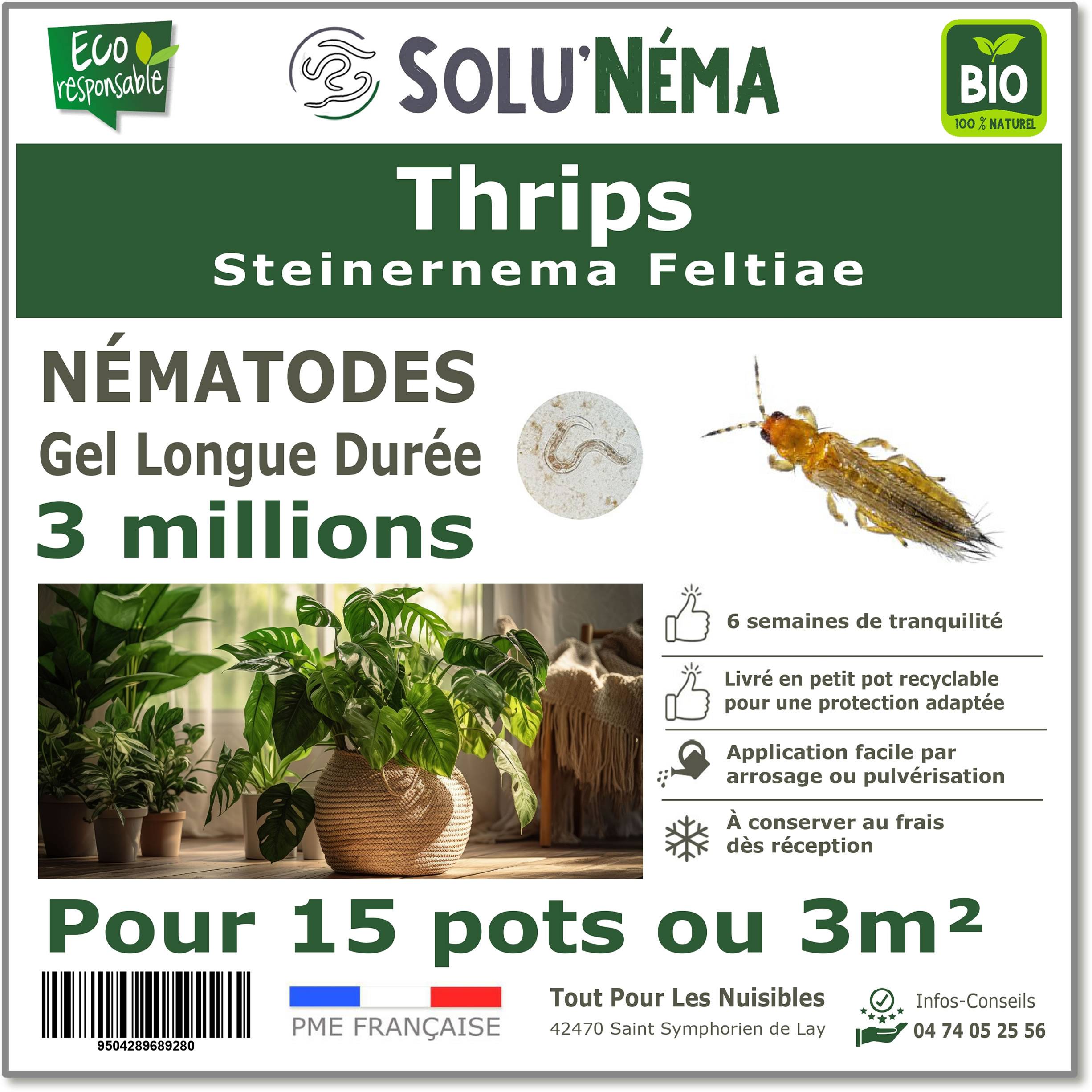 Solunéma - Thrips - Traitement à base de nématodes Steinernema Feltiae (SF) - 3 millions pour traiter jusqu'à 3 m² - Image 1