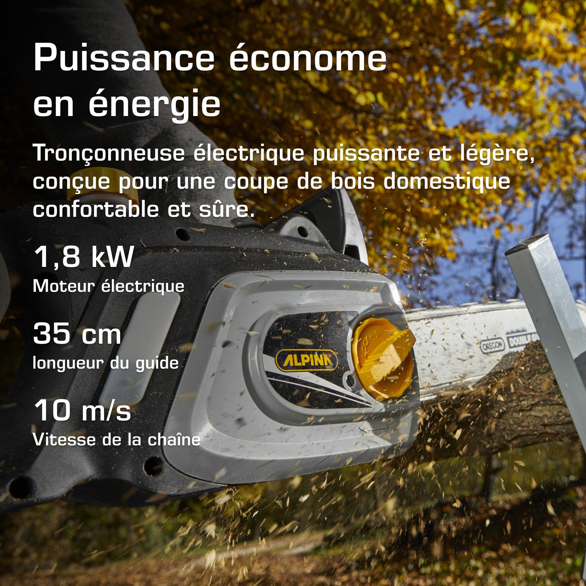 Alpina - Tronçonneuse électrique filaire ACS 181 E, Moteur 1800 W, Guide 35 cm avec huilage automatique et frein de chaîne manuel - Alpina - Image 2