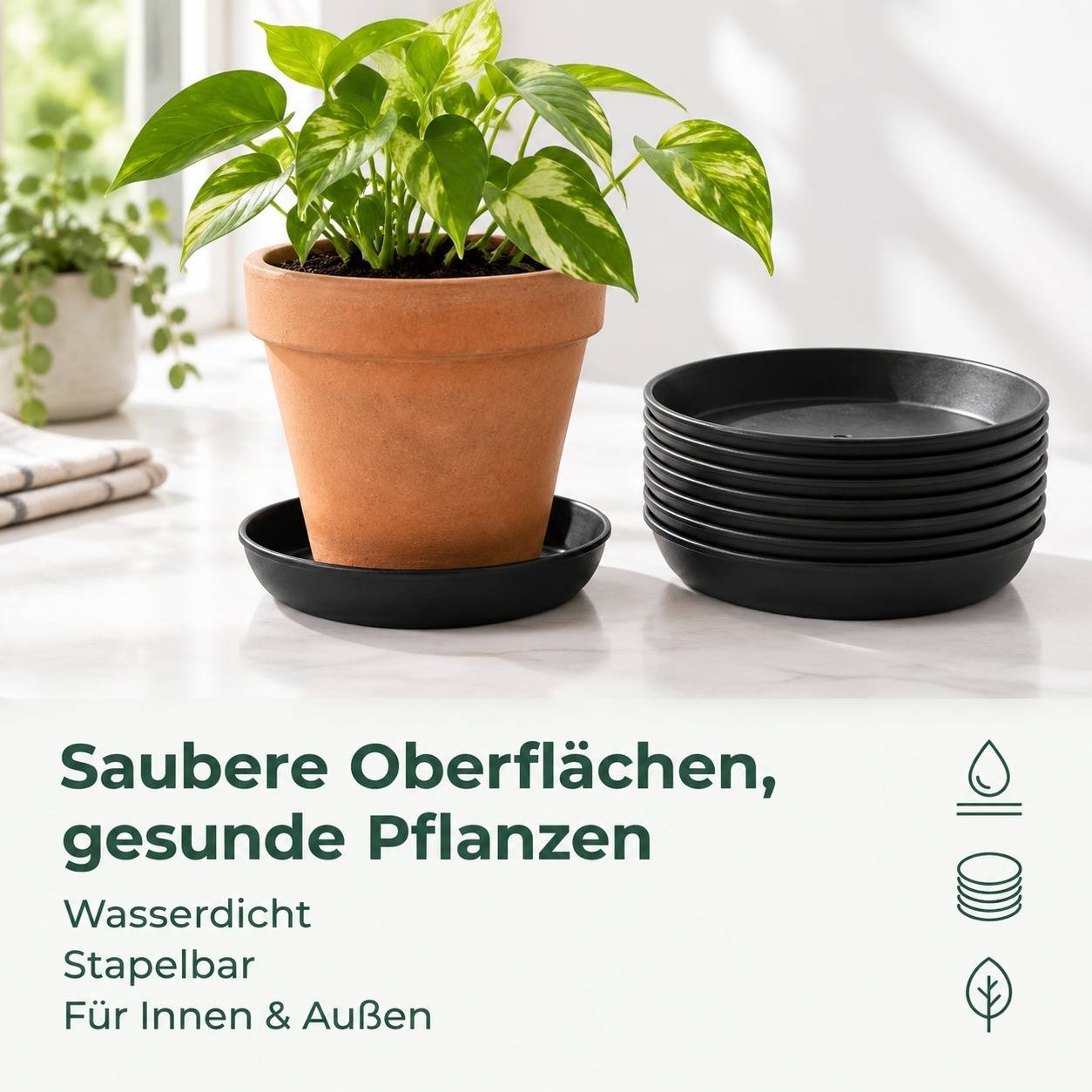 Lot de 30 Soucoupes Rondes pour Plantes en Plastique - Image 6