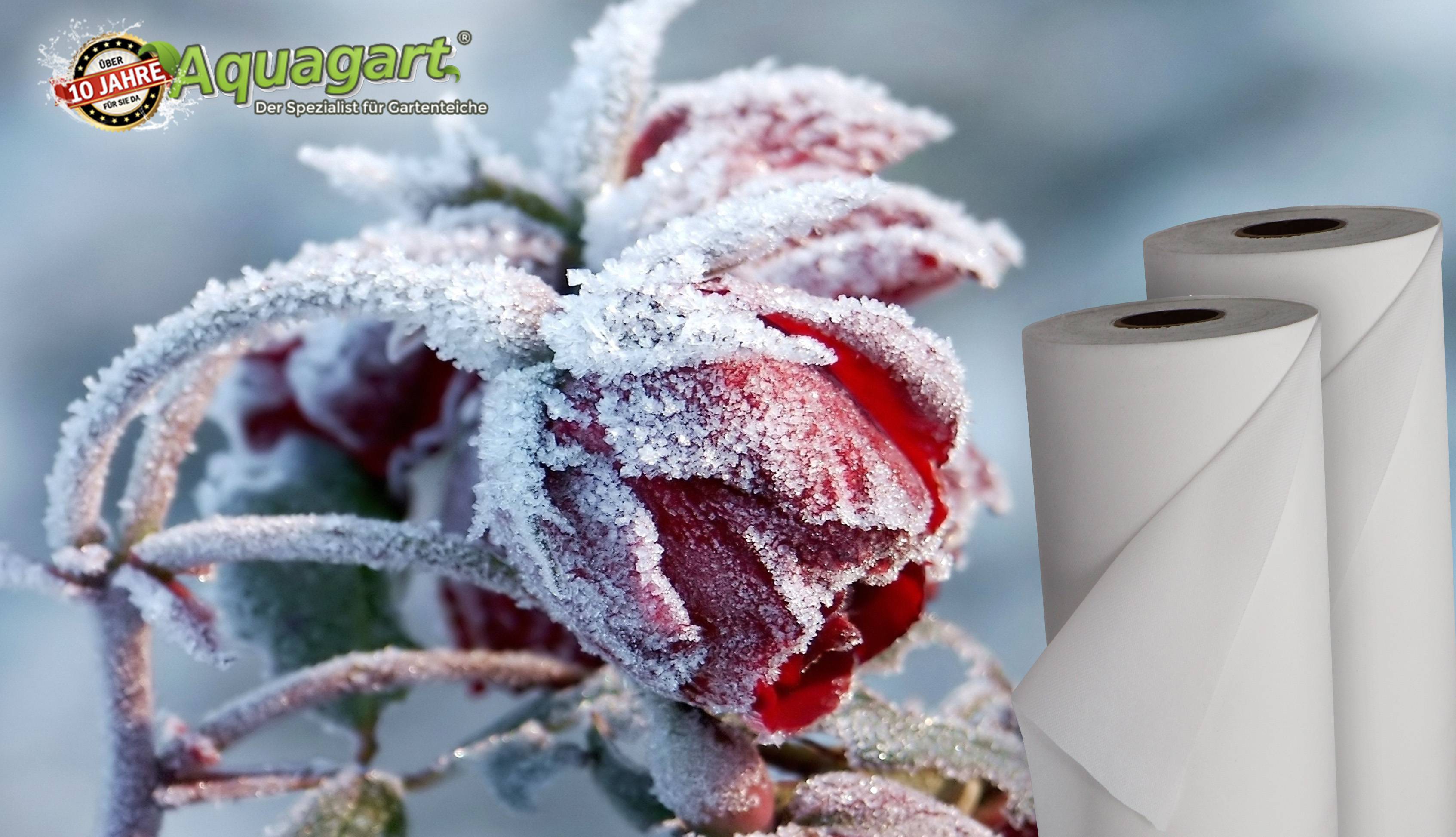 117 m² voile de protection hivernale en non-tissé, toile d’hivernage, protection contre le gel 80 g, 1,8 m de large - Image 6