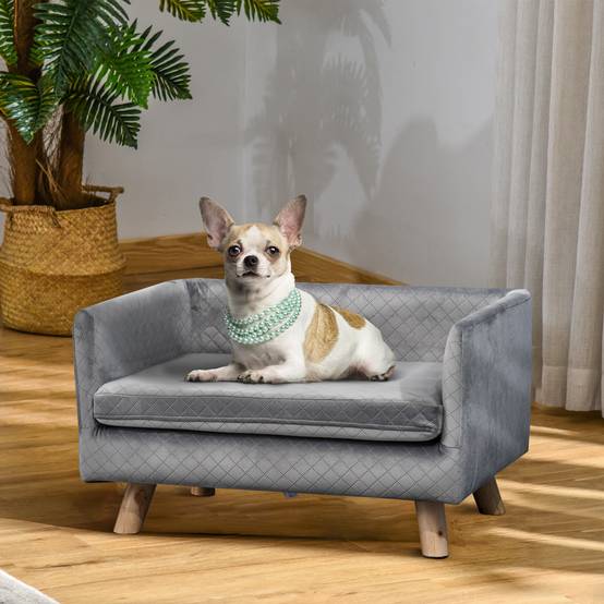 Sans Marque - Canapé chien lit divan velours dossier pieds bois coussin chat petits chiens 64x45x36 gris foncé,Sans Marque - Image 3
