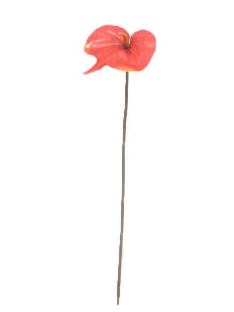 Artificielles - Anthurium artificiel H 67 cm Bordeaux - dimhaut: H 67 cm - couleur: Bordeaux - Image 2