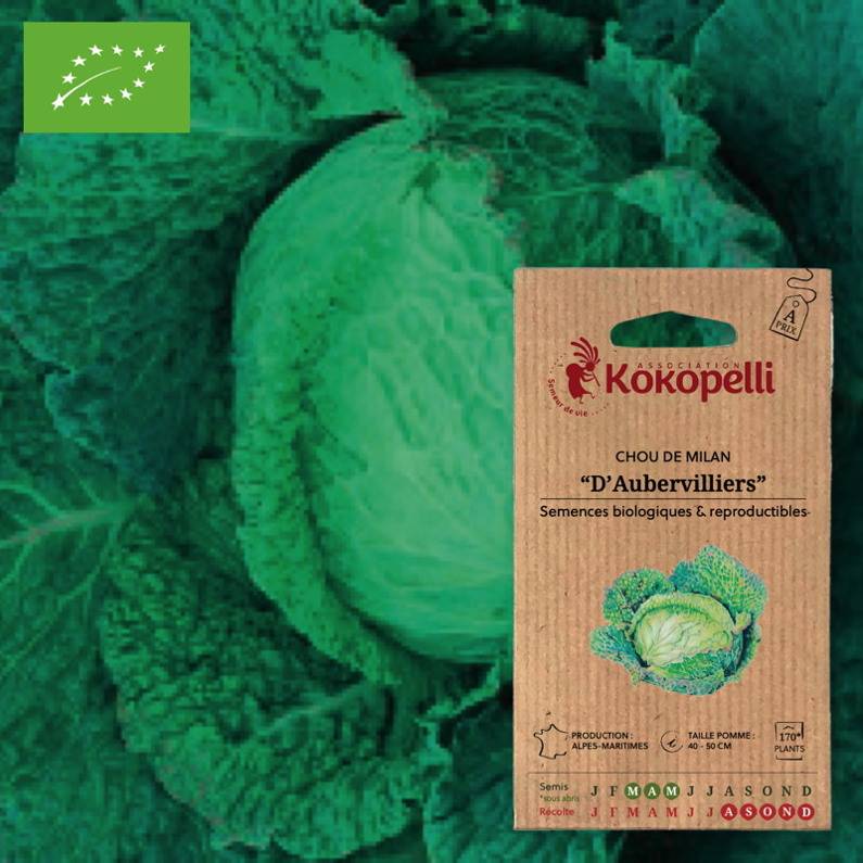 Association Kokopelli - Chou D'Aubervilliers- Graines bio à semer