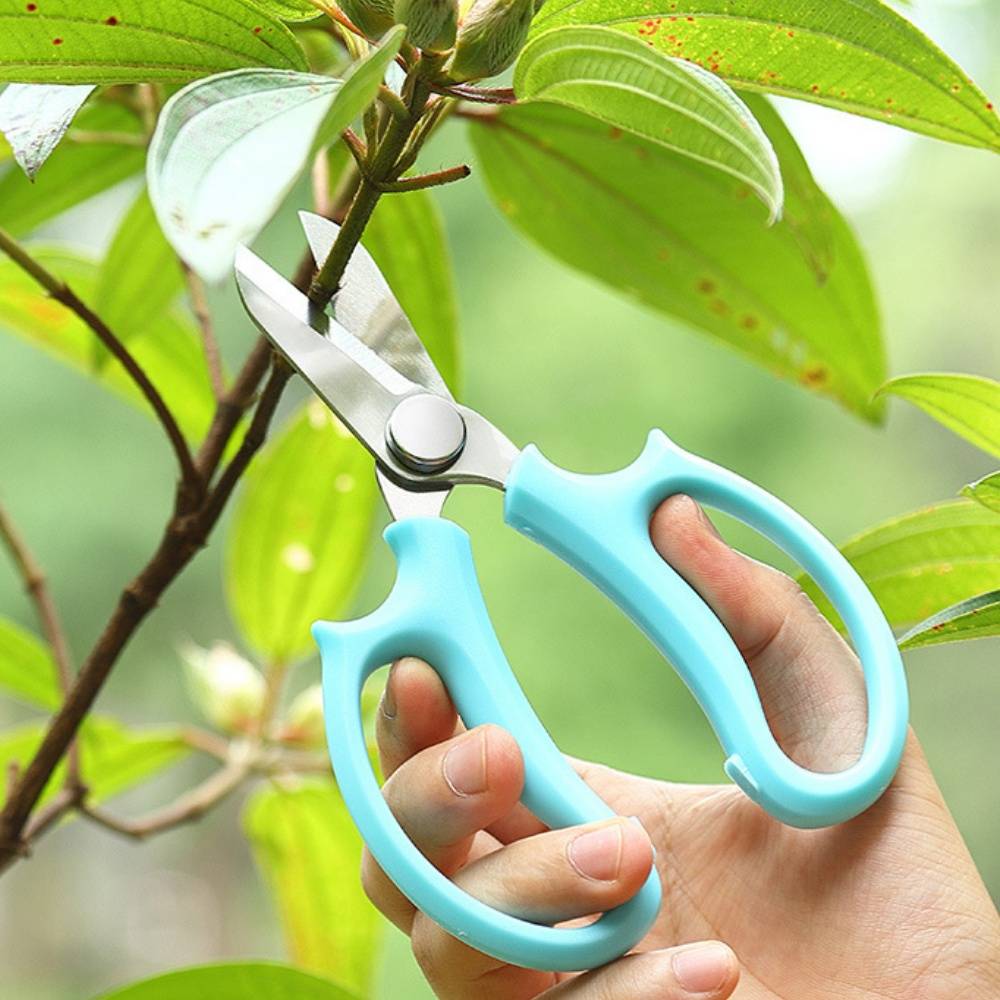 IntiMeg Ciseaux de Jardinage - Acier Inoxydable - Image 3