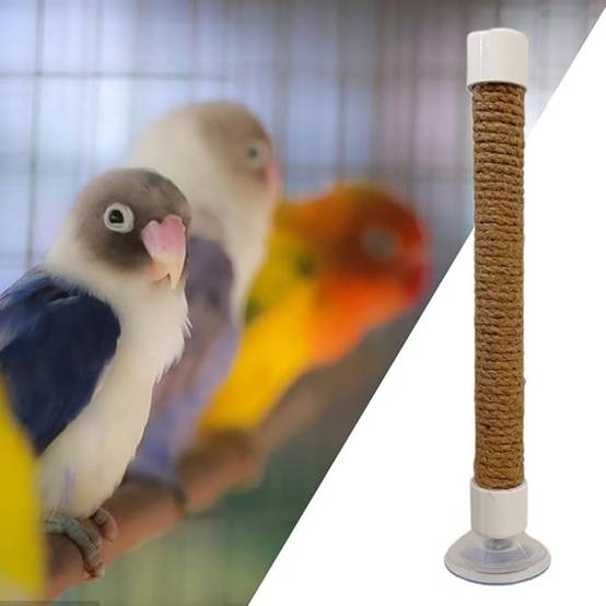 Perchoir Ventouse Accessoire Oiseaux - Image 3