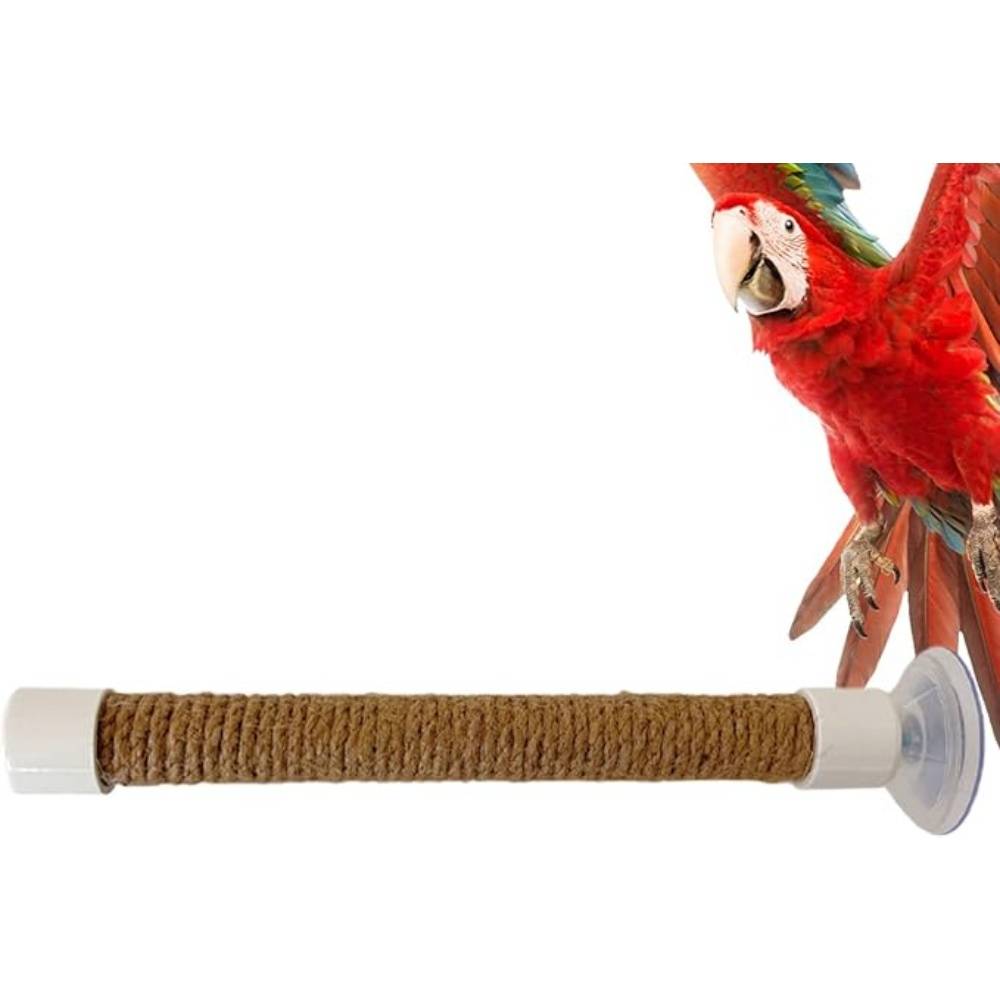 DtopbuyAge - Perchoir Ventouse Accessoire Oiseaux