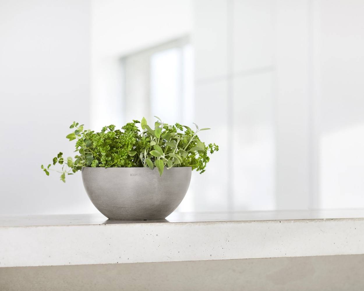 Ecopots - Pot Rond Brussels 25 Taupe - Ø 25 x H. 12 cm - 3,6 L ECOPOTS - Image 5