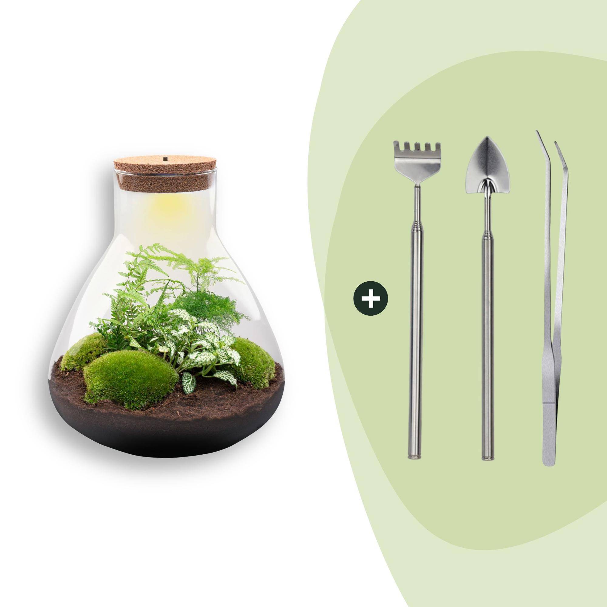 Terrarium à composer bouteille en verre recyclé - Ø30-H35cm - avec râteau, pelle et pince - Terrarium DIY - Image 1