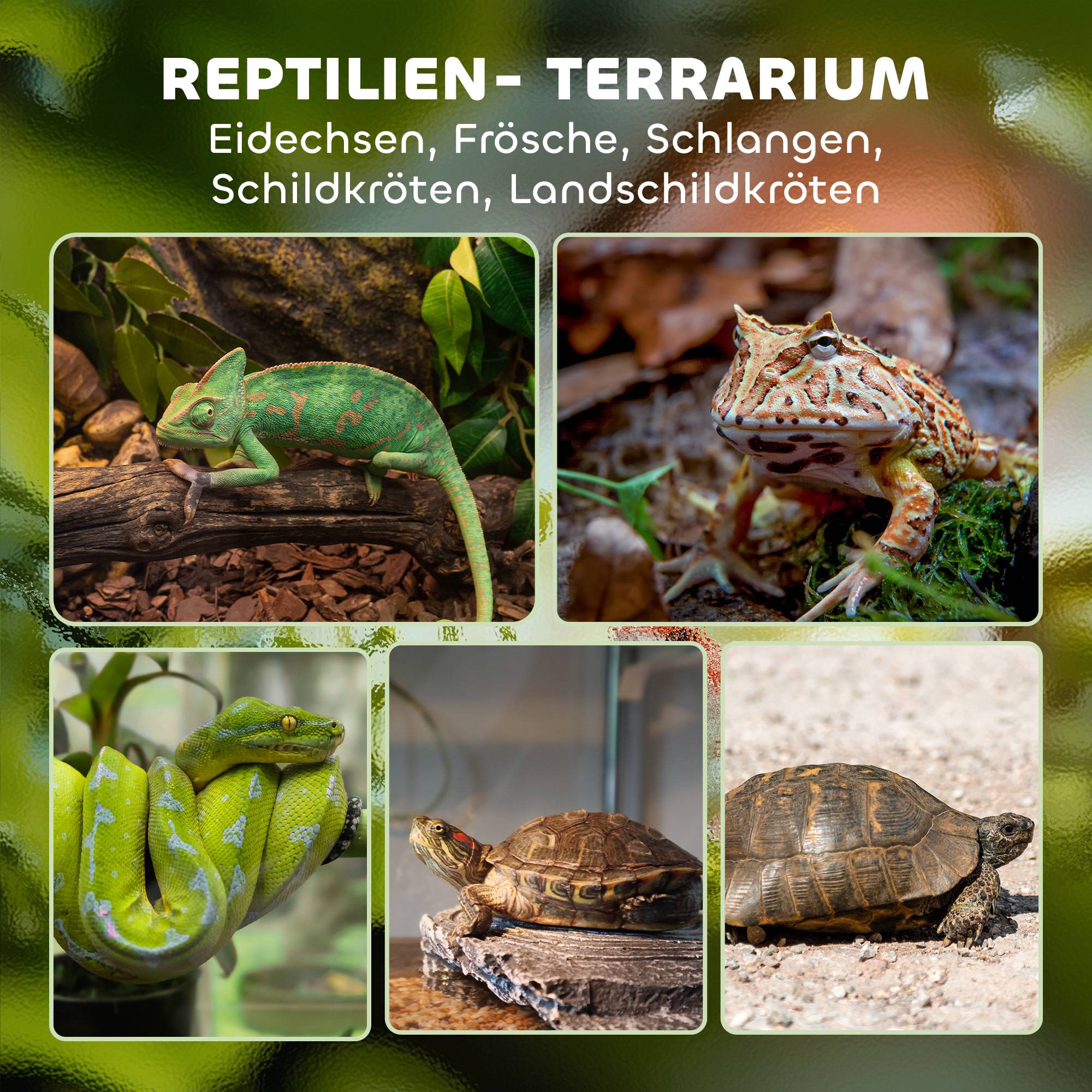 ComfortXL - Terrarium pour reptiles en verre trempé noir lézards serpents amphibiens fond étanche surélevé et ventilé - Image 4