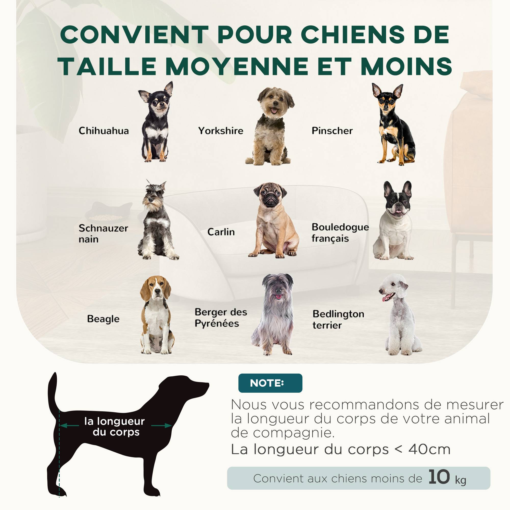 Canapé pour chien avec coussin doux housse amovible et lavable revêtement en velours néerlandais gris - Image 6