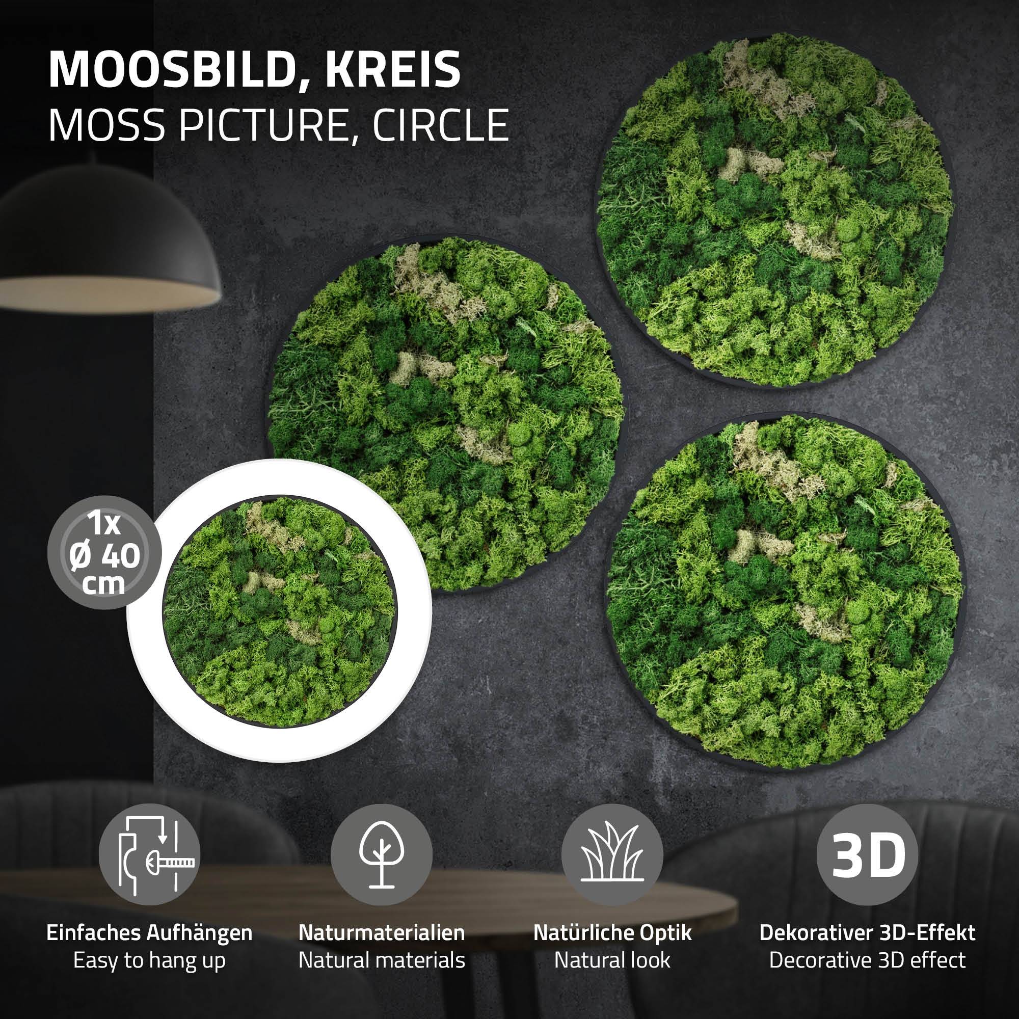 Ecd-Germany - Tableau en mousse de renne stabilisée, ronde Ø 40 cm, vert, décoration murale végétale d'intérieur, cadre en MDF, effet 3D, sans arrosage ni entretien - Image 2
