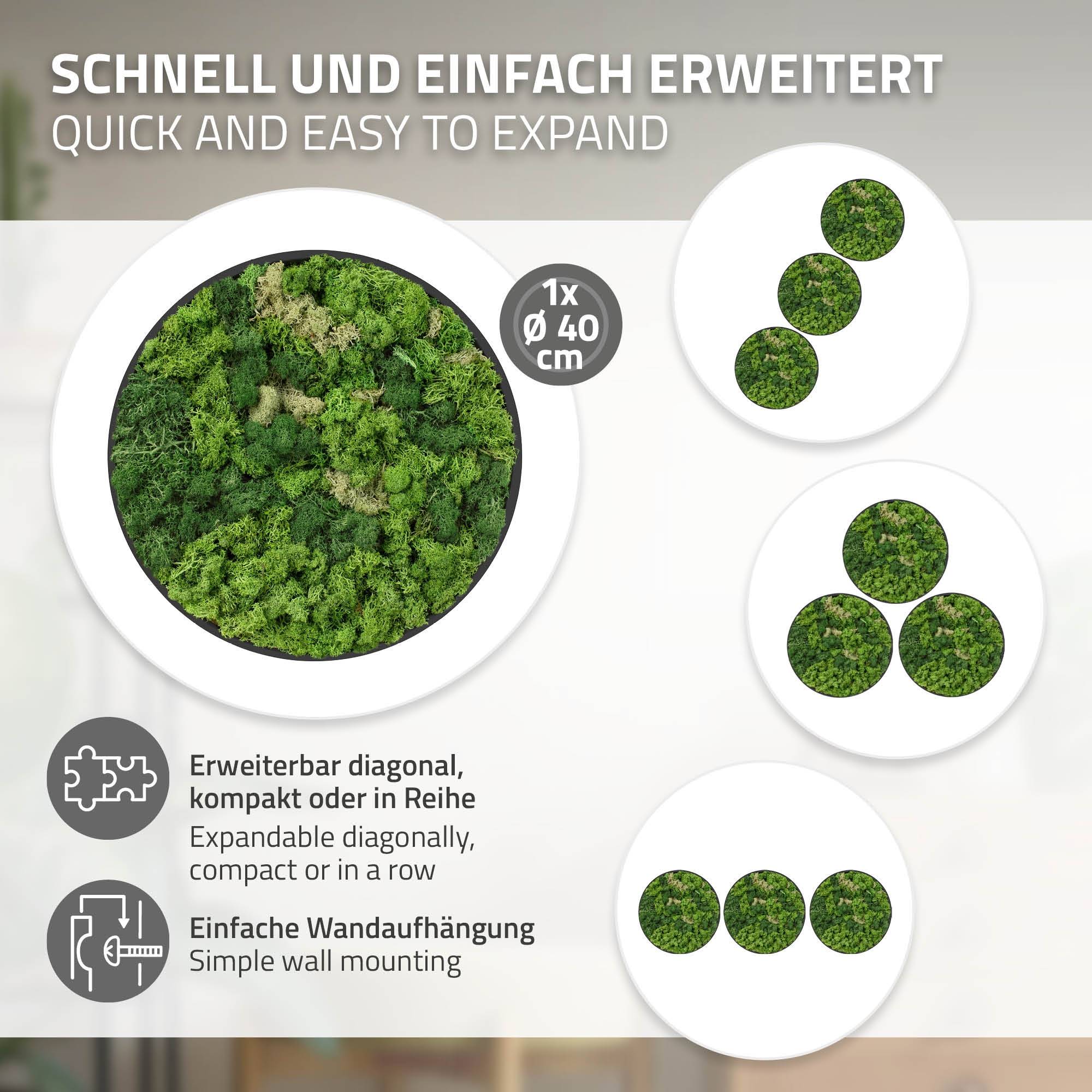 Ecd-Germany - Tableau en mousse de renne stabilisée, ronde Ø 40 cm, vert, décoration murale végétale d'intérieur, cadre en MDF, effet 3D, sans arrosage ni entretien - Image 4