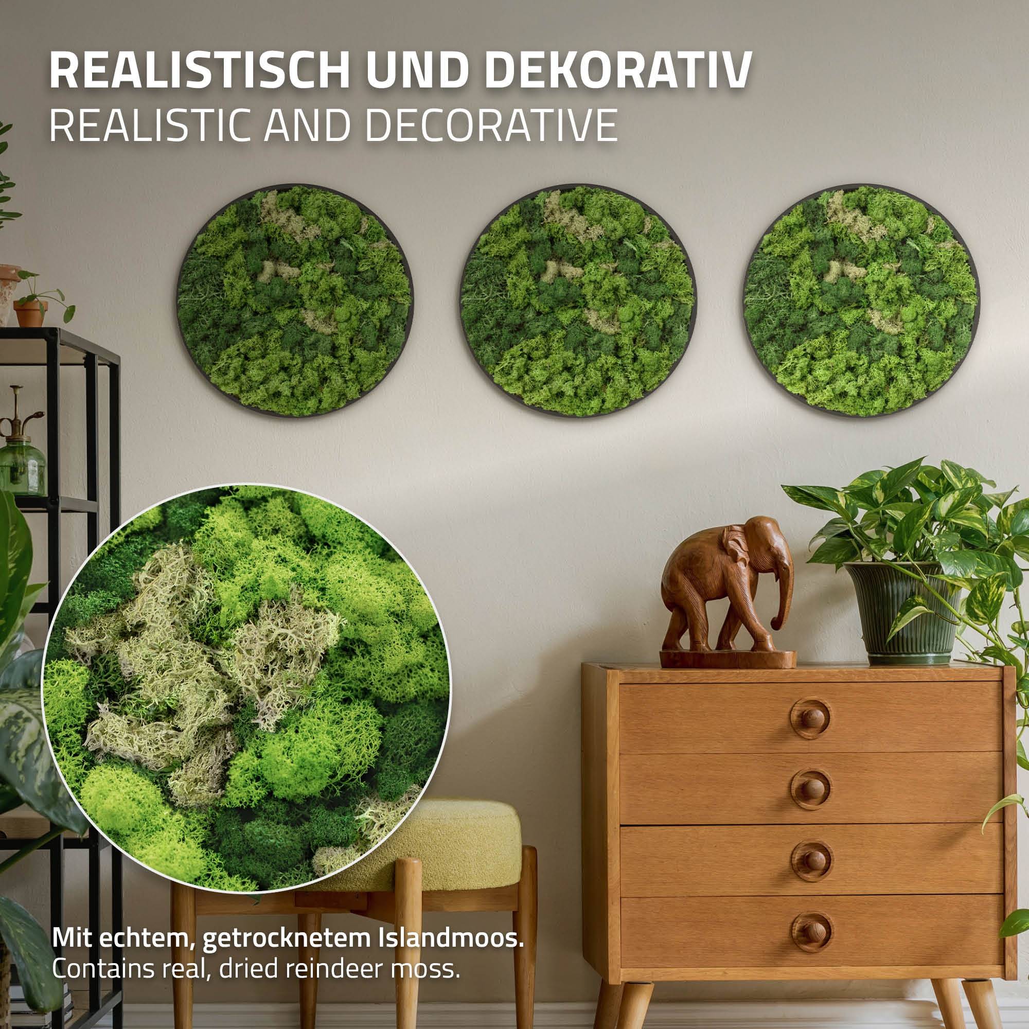 Ecd-Germany - Tableau en mousse de renne stabilisée, ronde Ø 40 cm, vert, décoration murale végétale d'intérieur, cadre en MDF, effet 3D, sans arrosage ni entretien - Image 3