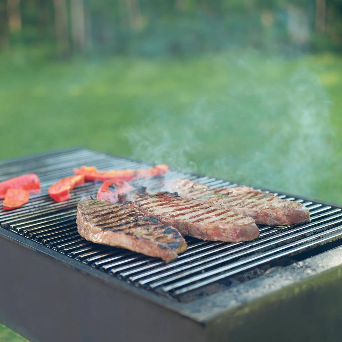 Ecd-Germany - Grille barbecue inox rectangulaire 60x40 cm avec poignées amovibles robuste et antirouille adaptée aux cheminées barbecues, foyers et braseros BBQ - Image 1