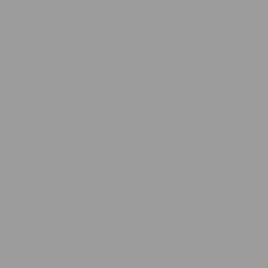 Maison Chic - Abri de jardin 2.58m² Cabane de jardin - gris 277x93x179 cm acier galvanisé - Meuble Pro MAISON CHIC - Image 8