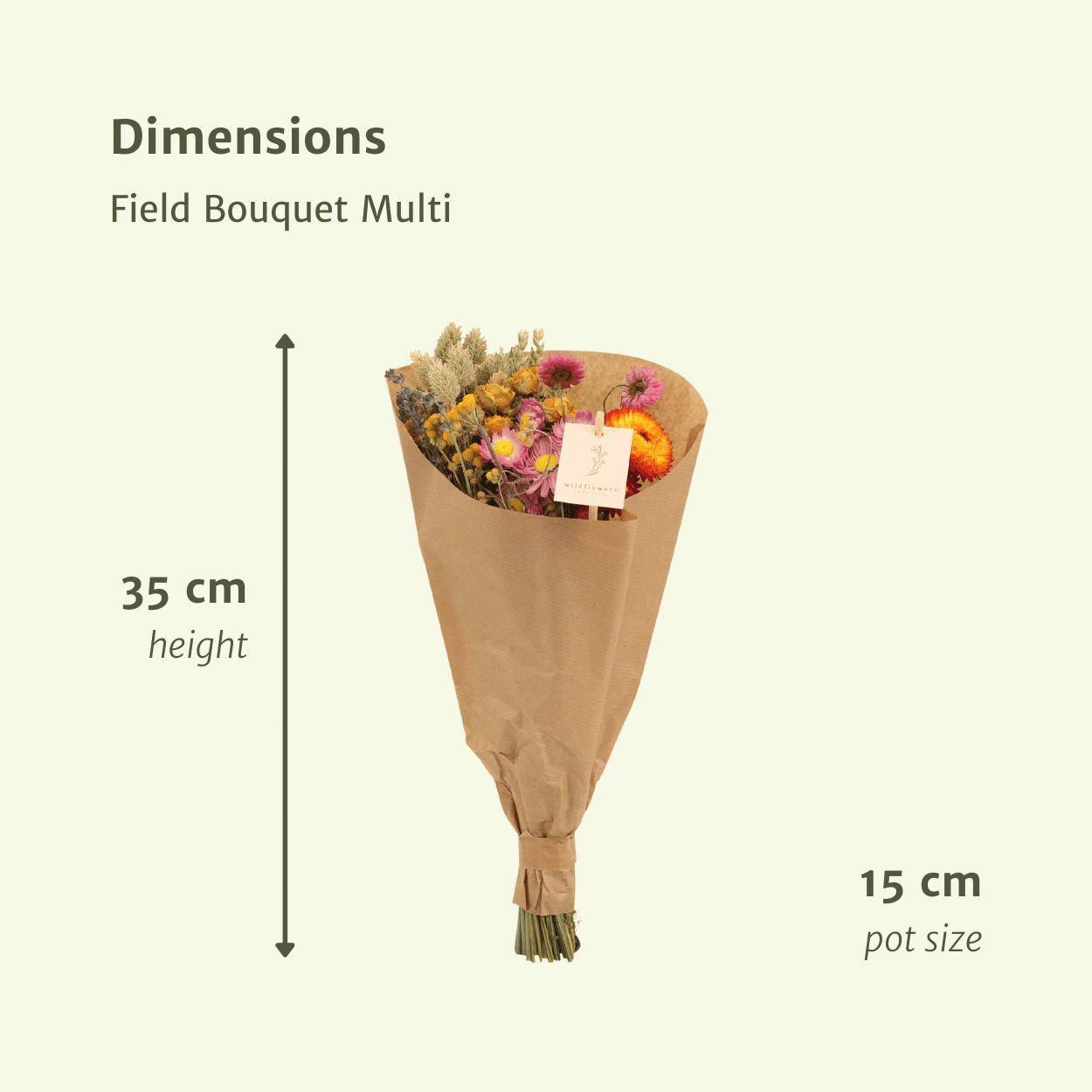 PANGIVO - Lot de 12 bouquets de fleurs séchées naturelles multicolore 15 x 15 x 35 cm - PANGIVO - Image 2