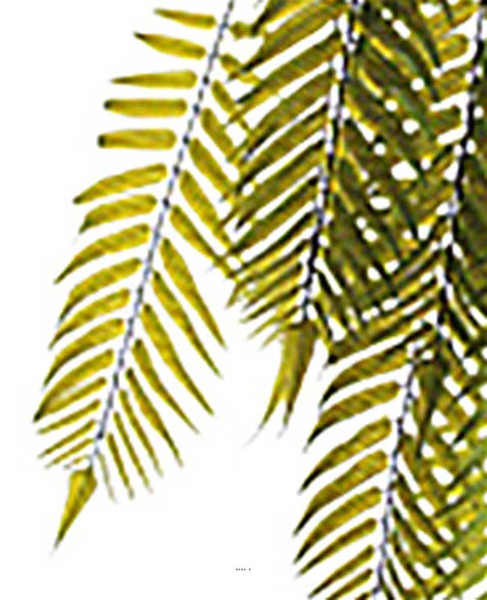 Artificielles - Chute de palmier artificiel L 100 cm vert 8 ramures - Image 3
