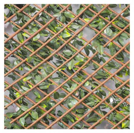 James Grass - France Green - Treillis extensible feuilles de jasmin fleuri, Long 28 m, Hauteur 1 m - Image 3