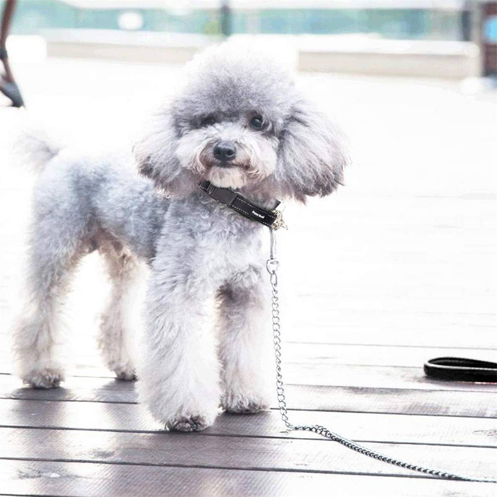 Laisse en chaîne pour chien de 120cm - Noir - Gamm vert