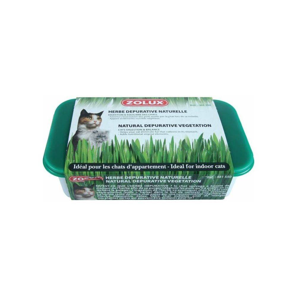Zolux - Herbe à chat dépurative naturelle (Lot de 3) - Image 3