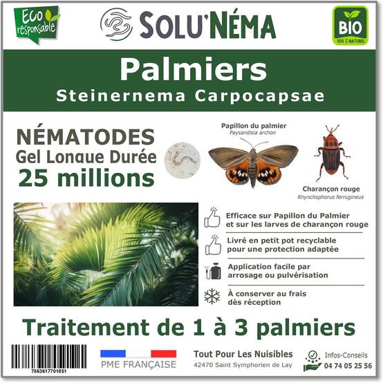 Solunéma - Traitement pour Palmiers à base de nématodes Steinernema Carpocapsae (SC) - 25 millions - 2 à 3 Palmiers - Image 1