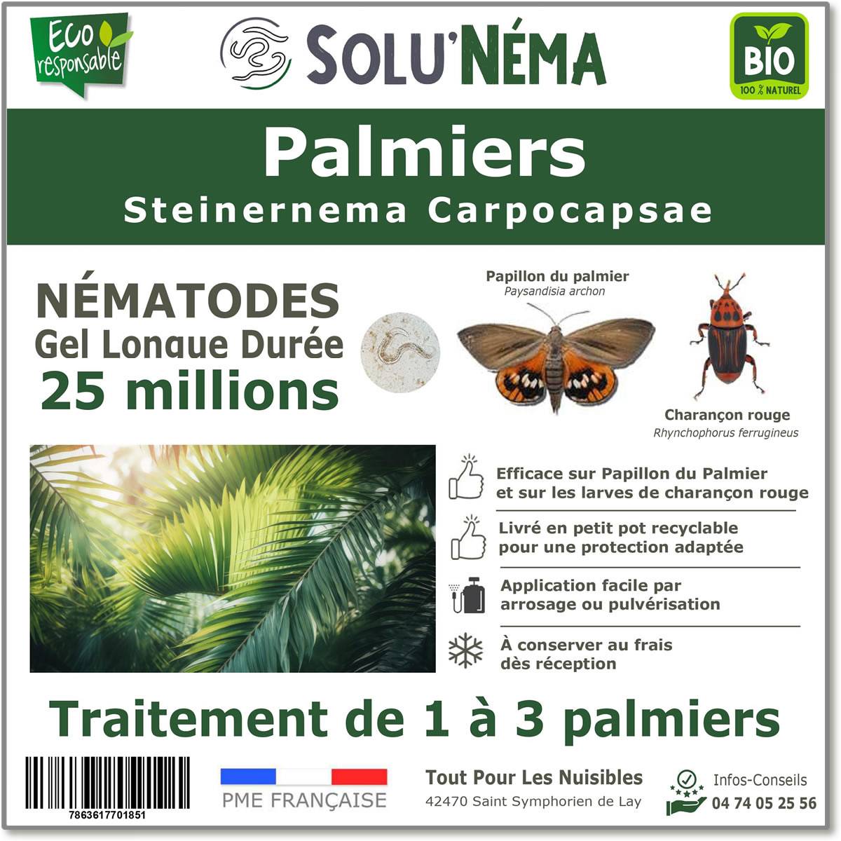 Solunéma - Traitement pour Palmiers à base de nématodes Steinernema Carpocapsae (SC) - 25 millions - 2 à 3 Palmiers - Image 1