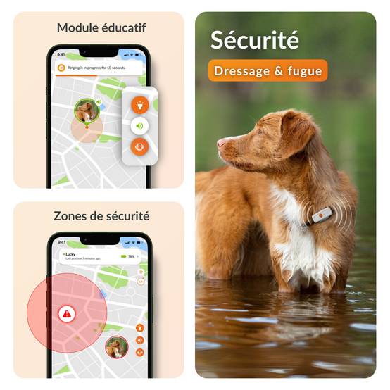 Weenect - Weenect XS - collier gps pour chien ( white edition) - Image 5