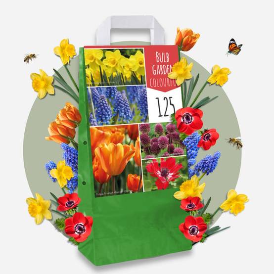 Plant In A Box - Mélange de bulbes pour le jardin - Set de 250 - Image 2