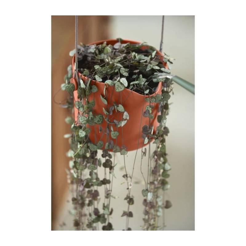Elho - Pot De Fleurs Rond Vibia - Plastique Réservoir - ø35 - Jaune Miel - Image 5