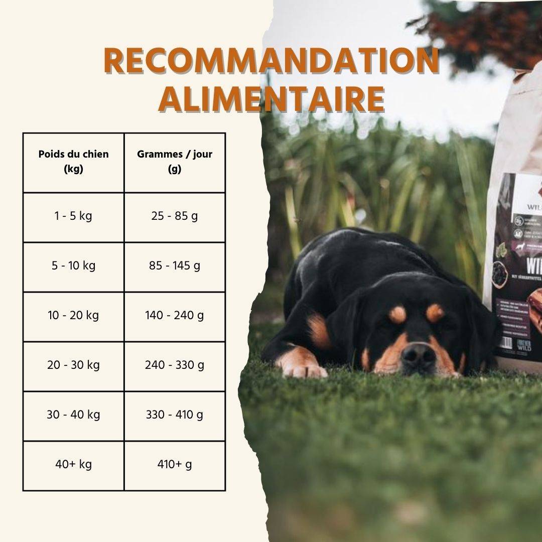 Wildfang - Wildfang - Coffret Gourmet Adulte - Aliments secs et humides - 3 x Venaison / 2 x Cheval - Image 4