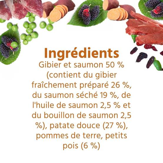Wildfang - Wildfang - Coffret Gourmet Adulte - Aliments secs et humides - 3 x Venaison / 2 x Cheval - Image 3