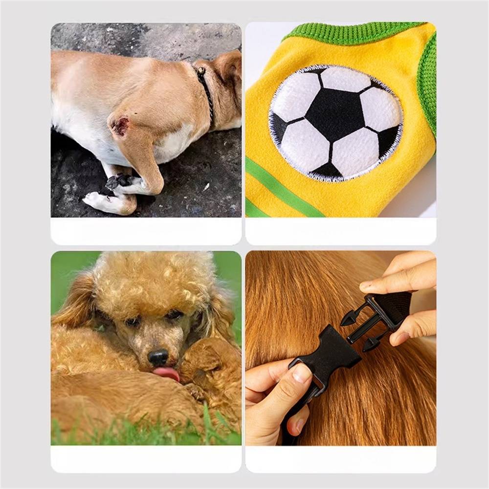 DtopbuyAge - Protections pour pattes de chien de moyenne et grande taille DtopbuyAge - Image 4