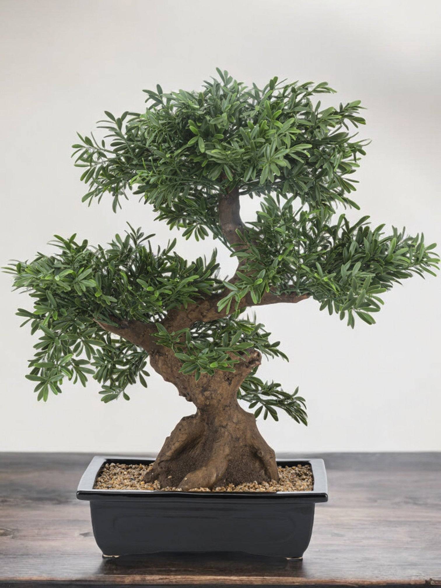 Bonsaï arbre - bonsai artificiel- La Green Touch - Image 1