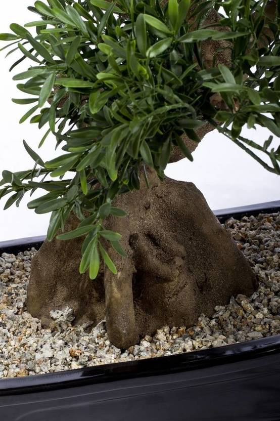 Bonsaï arbre - bonsai artificiel- La Green Touch - Image 4