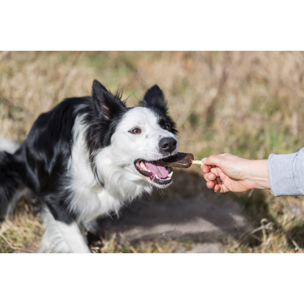 Trixie - Trixie - Friandise Denta Fun poulet Pop 50 g  pour chien - Image 4